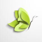 Rowiń Skrzydła grupa rozwojowa